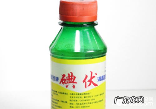 小狗常见好用药有什么