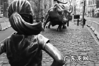 拼多多运费险怎么收费?费用多少?