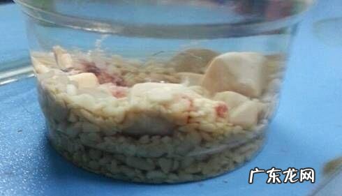 一例犬尿石症的医治及感受