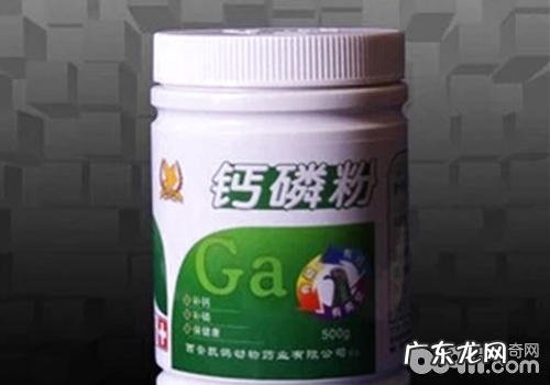 如何预防小狗骨关节病