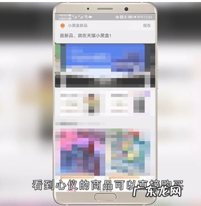 天猫小黑盒怎么进入?商品怎么样?