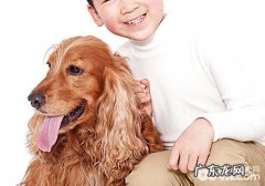 如何改进小狗分离焦虑症的难题