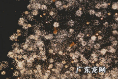 拼多多商家退货率高会怎样？如何降低？