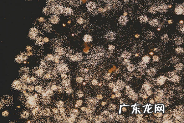 拼多多商家退货率高会怎样？如何降低？