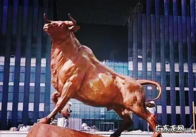 公司ipo流程有哪些?IPO上市步骤包括哪些?