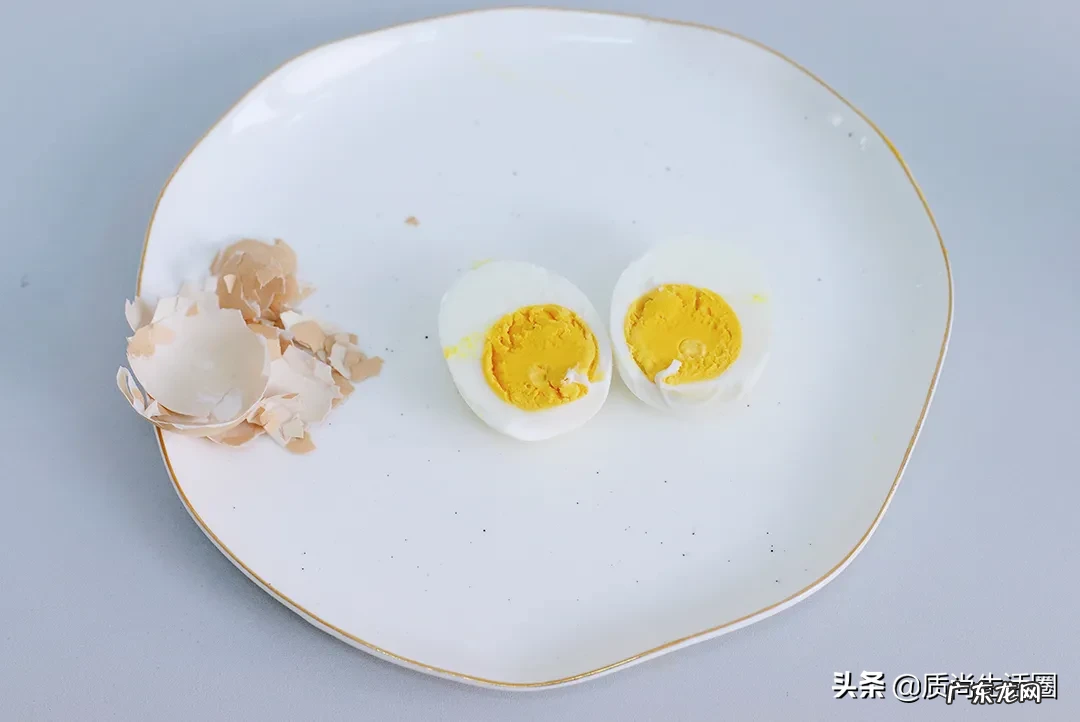 煮蛋器十大品牌排行榜 煮蛋器哪个牌子好