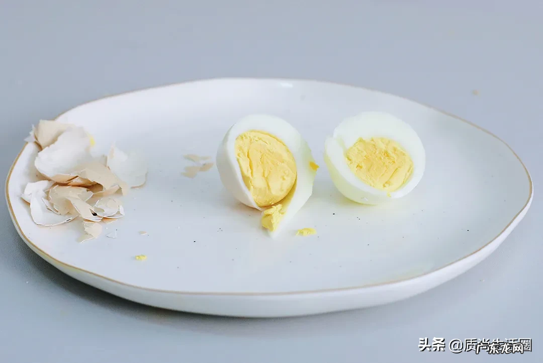 煮蛋器十大品牌排行榜 煮蛋器哪个牌子好