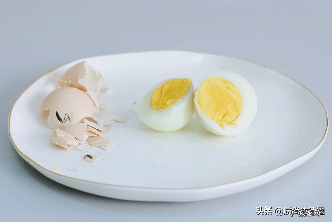 煮蛋器十大品牌排行榜 煮蛋器哪个牌子好