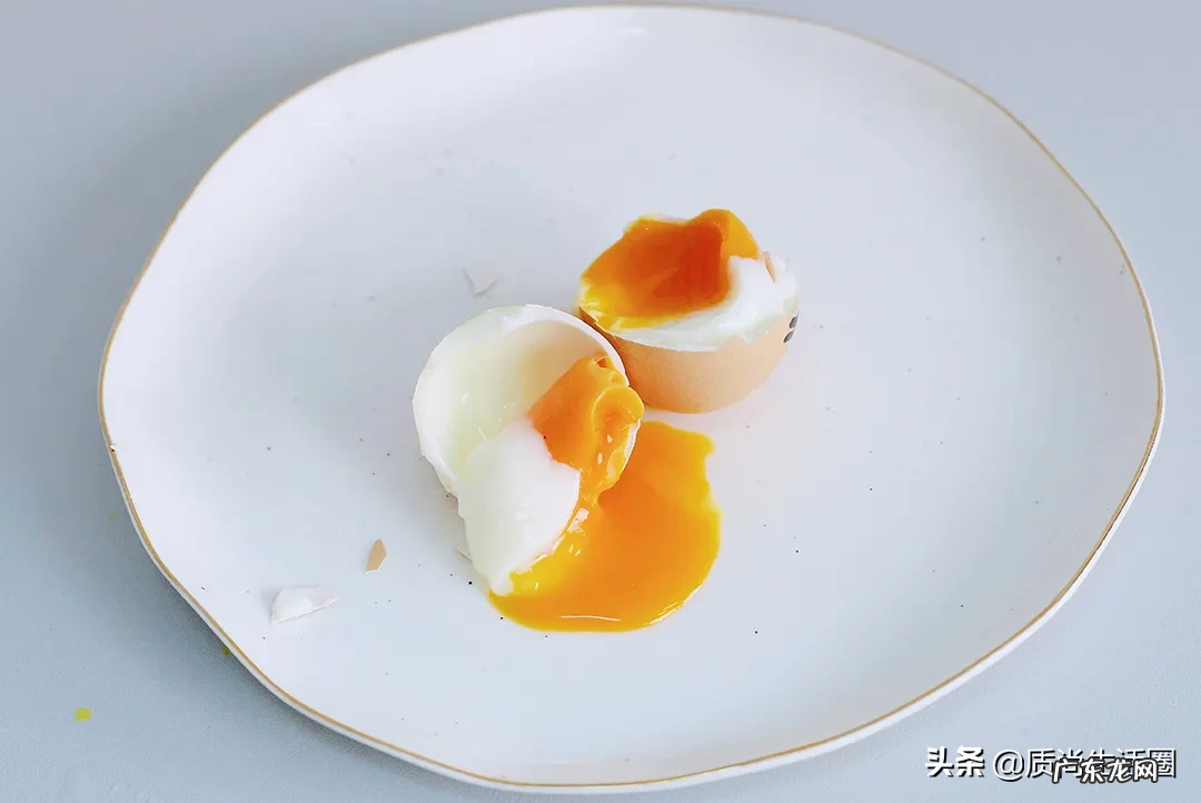 煮蛋器十大品牌排行榜 煮蛋器哪个牌子好