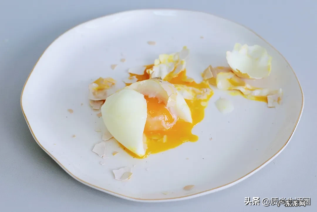 煮蛋器十大品牌排行榜 煮蛋器哪个牌子好