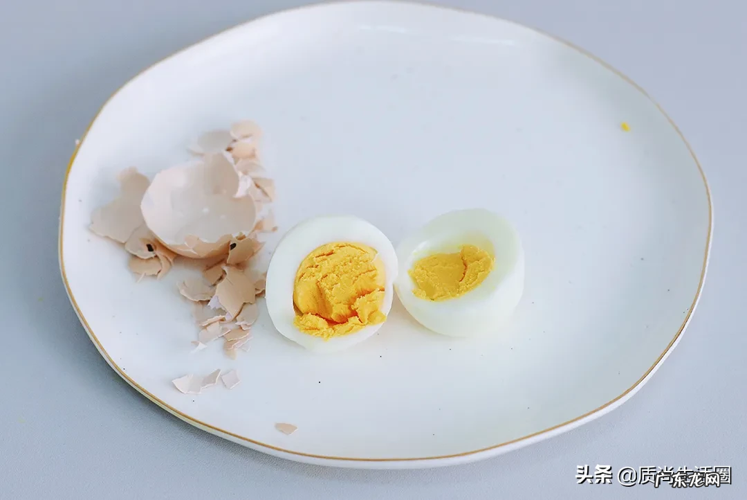 煮蛋器十大品牌排行榜 煮蛋器哪个牌子好