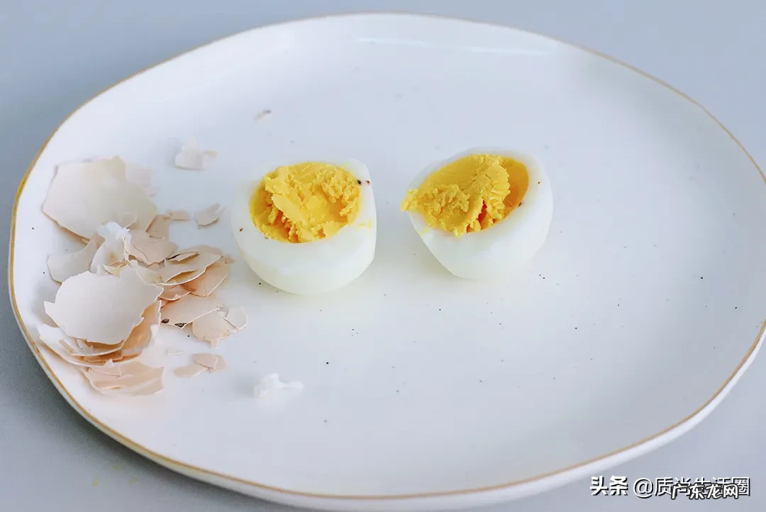 煮蛋器十大品牌排行榜 煮蛋器哪个牌子好