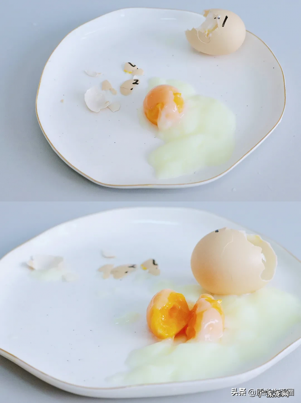 煮蛋器十大品牌排行榜 煮蛋器哪个牌子好