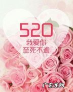 520节日发给老婆的句子 520节日