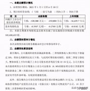 苏宁易购发布2020年半年报，净亏损约达31.9亿元