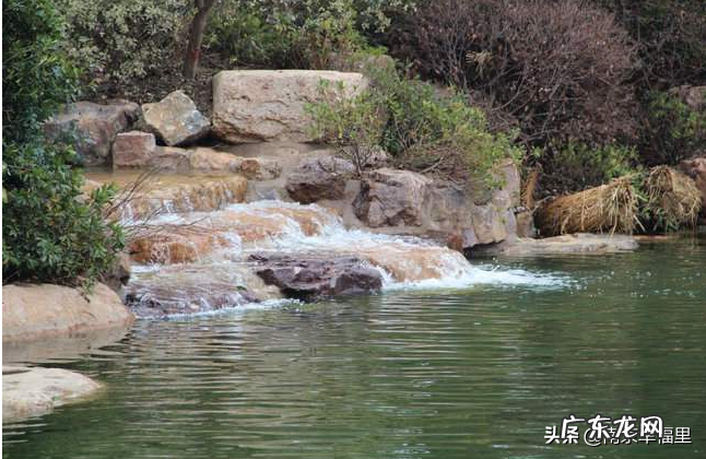 京东紫晶房价多少钱一个平方?小区居住体验如何?