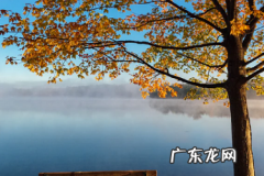 投诉拼多多卖家有效果吗？投诉方法有哪些？