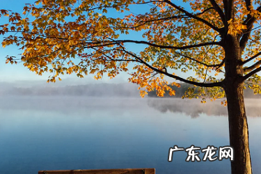 投诉拼多多卖家有效果吗?投诉方法有哪些?