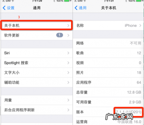 iOS版小鸡模拟器怎样安装使用