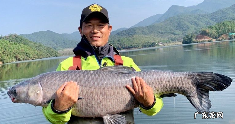 邓刚为什么喜欢钓鱼 抖音天元邓刚个人资料