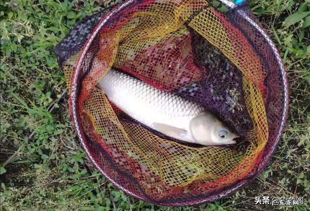 7款性价比很高的鱼竿推荐 钓鱼竿什么品牌好用