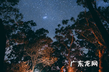 拼多多违规操作还有什么办法补救?有哪些违规现象?