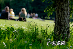 怎样成为拼多多达人？要注意什么？