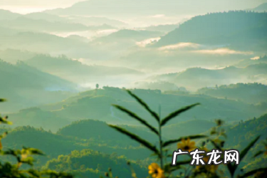 一件代发定价多少合适？要注意什么？