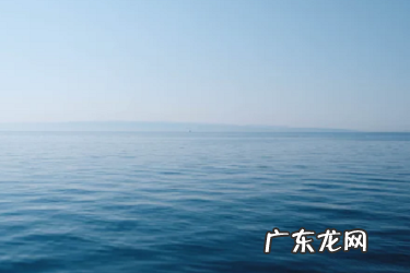 拼多多卖家缺货不发货有处罚吗?具体处罚有哪些?