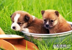 不一样的姿势相匹配什么健康问题