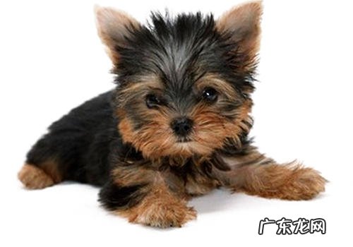 不一样的姿势相匹配什么健康问题