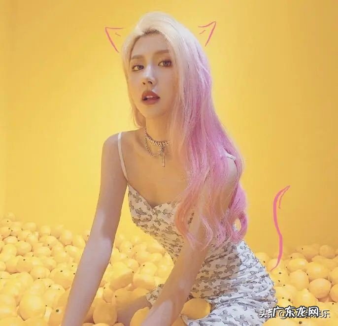 天才小火龙详细资料介绍 天才小火龙怎么火起来的