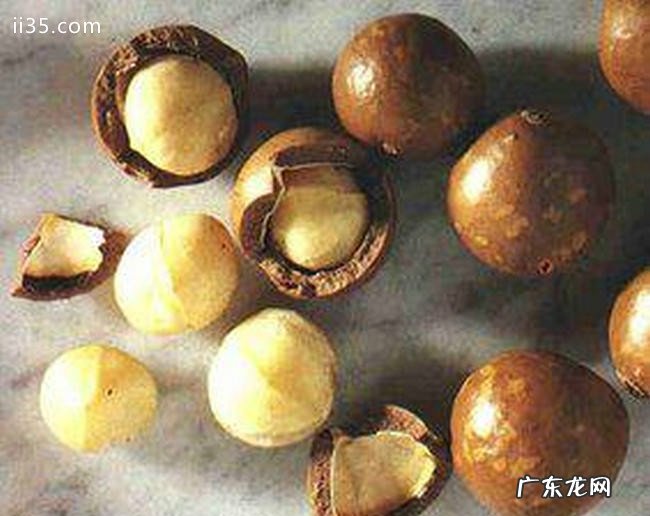 常见好吃的坚果零食大全 坚果零食有哪些