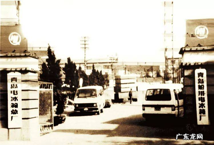 海尔张瑞敏简介 海尔张瑞敏成长历程