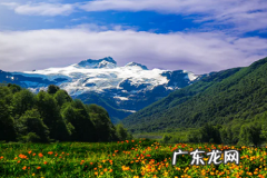 拼多多百亿补贴怎么抢券？有哪些技巧？