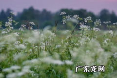 拼多多只有省钱月卡吗？省钱月卡值得买吗？