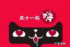 双十一攻略隐藏着什么商机？,京东双十一？