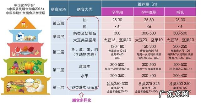 备孕如何保持健康的生活方式-备孕期间要吃多少叶酸