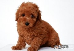 巨细胞病毒是不是恐怖