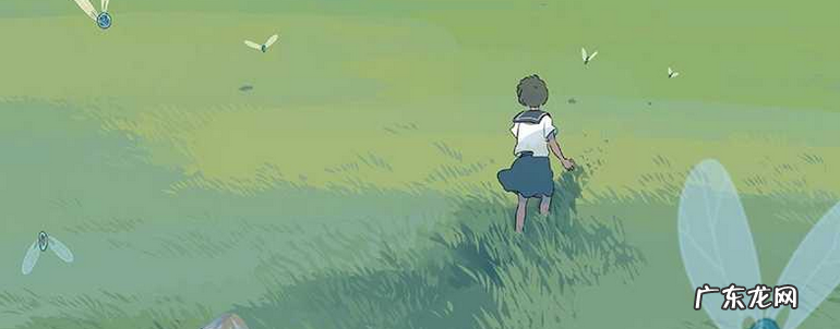 导购频道的基本规则 视频导购是干什么的