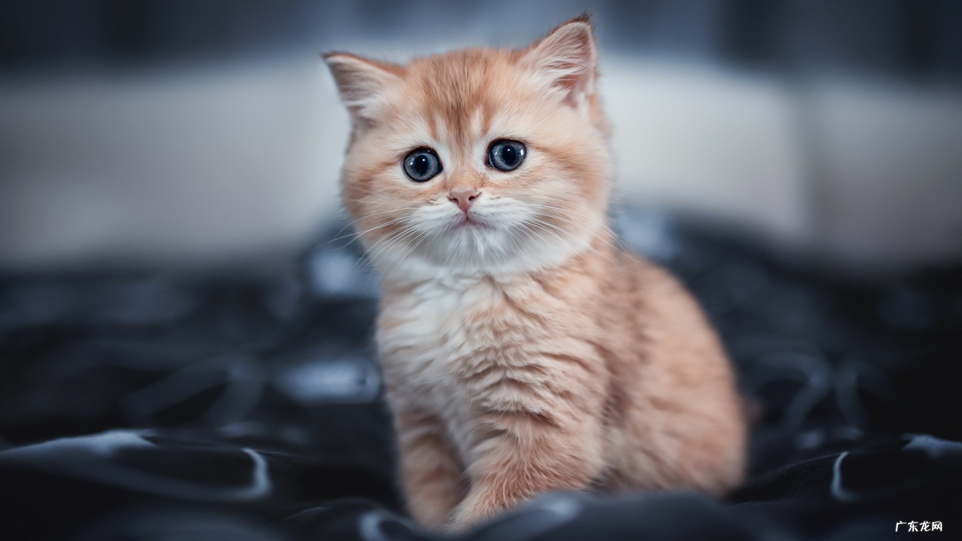 针灸减肥影响怀孕吗 针灸减肥对怀孕是否有影响