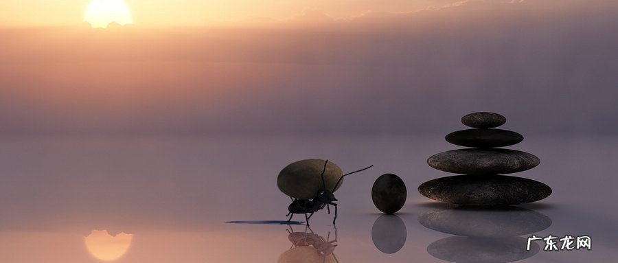 蚁族指的是哪一群人 什么是蚁族