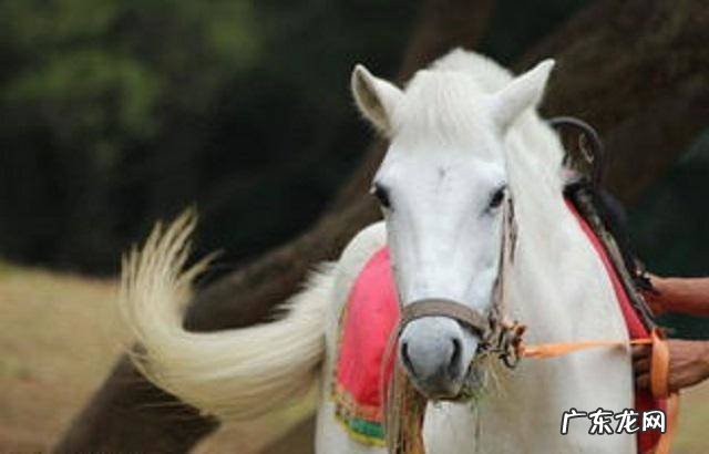 人类需求的五个层次 什么是马斯洛需求层次理论