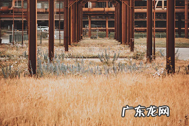 抖音被封号怎么解封?会封多久?