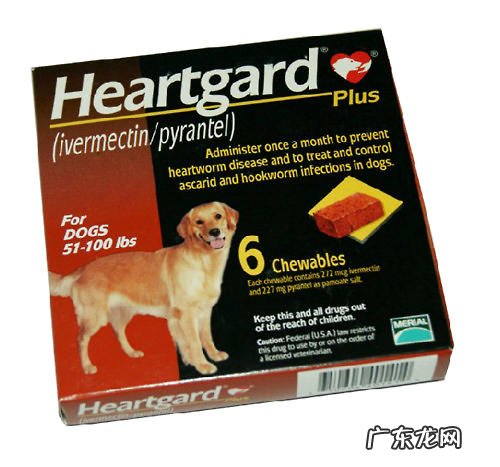 犬心保和拜宠清该选哪一个