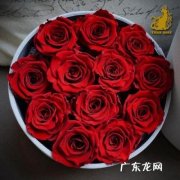 2021年12月情人节 12月情人节