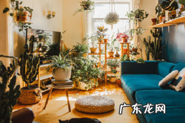 多多买菜提现为啥收不到信息?提现常见问题解答