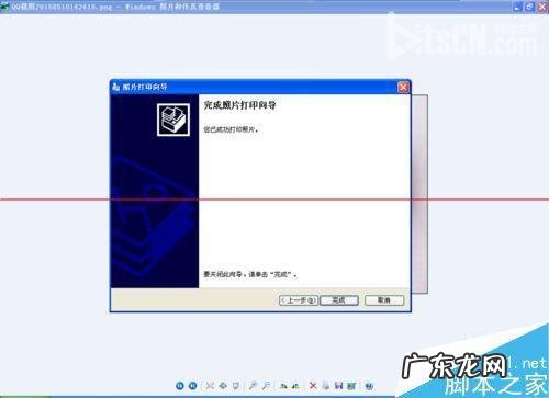 打印机连接电脑但是打印不了? 打印机怎么设置才能打印照片呢?