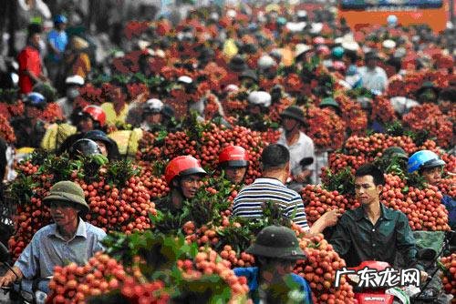 越南荔枝怎么样?好吃吗?