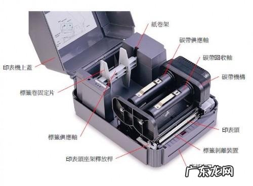 如何在电脑上安装打印机? TSC TTP-342打印机安装技巧与步骤